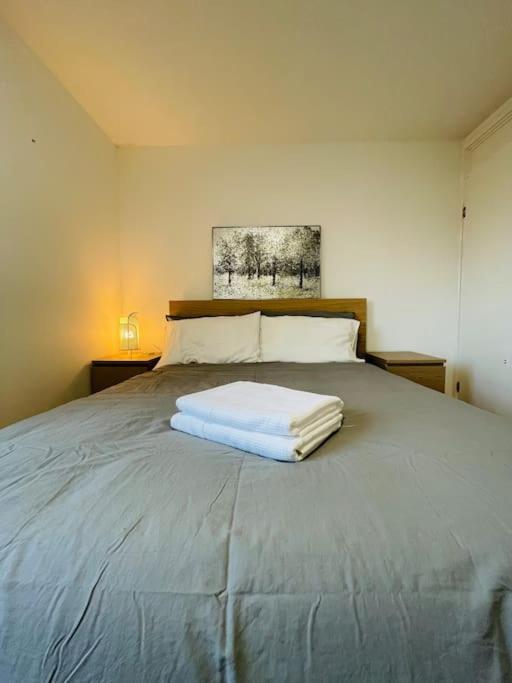 Lovely Duplex Apartment In Edinburgh City Centre Екстер'єр фото